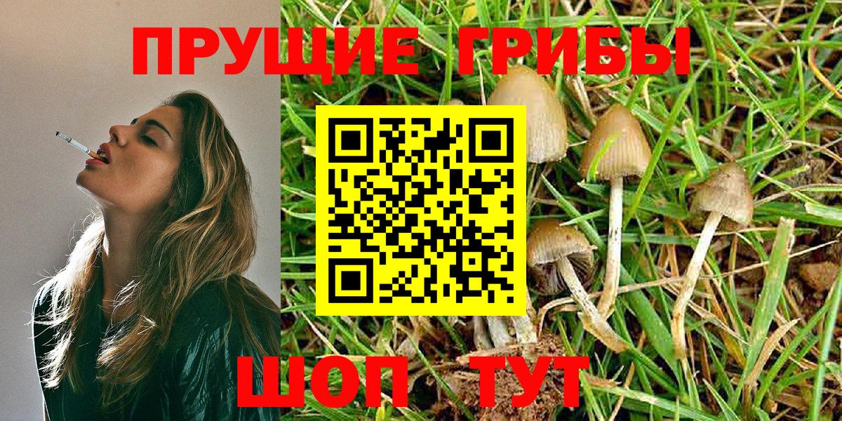 купить наркотик  Вход с VPN  Вязьма  Псилоцибиновые грибы MAGIC MUSHROOMS 