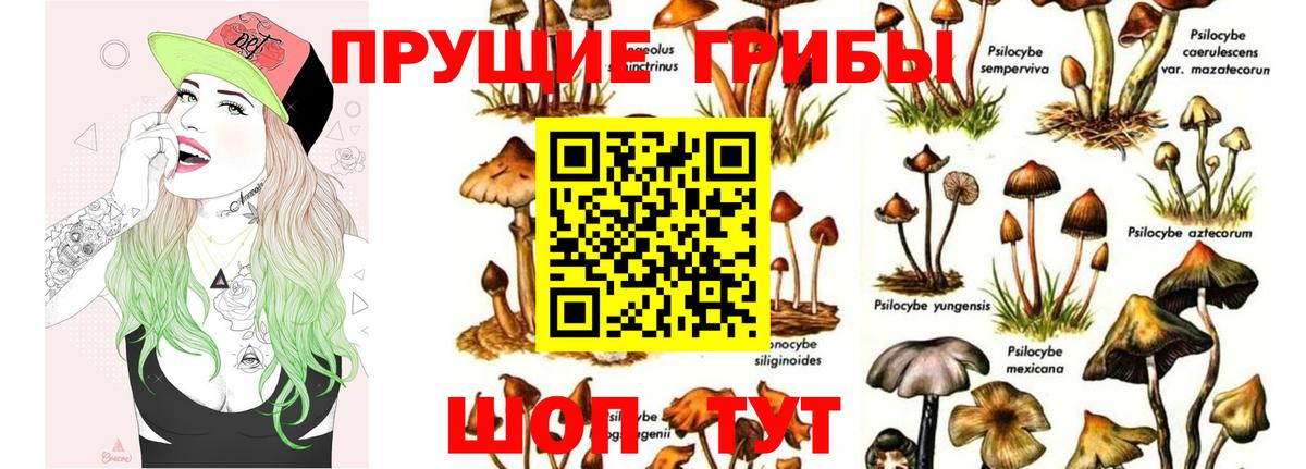 Галлюциногенные грибы Magic Shrooms Вязьма
